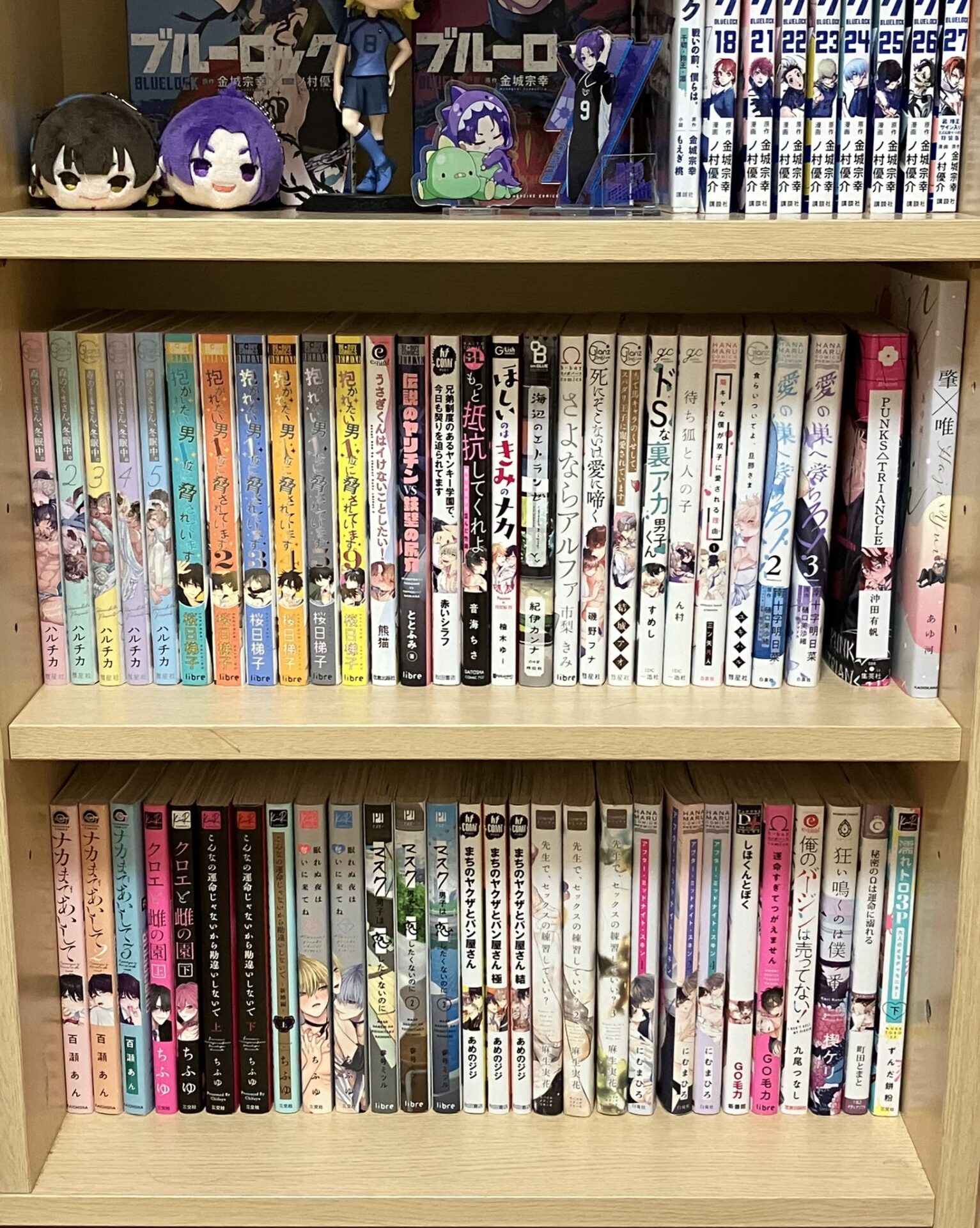 引用画像腐女子の本棚