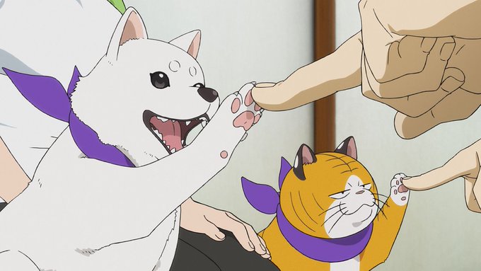引用画像ツガイ
